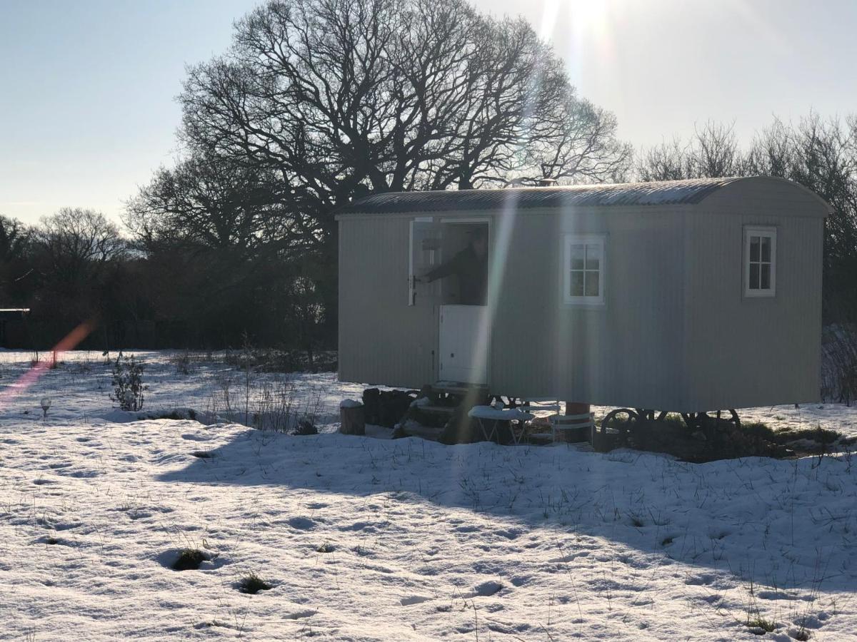 Shepherd Hut Hare’s Rest Southwick  Exterior foto
